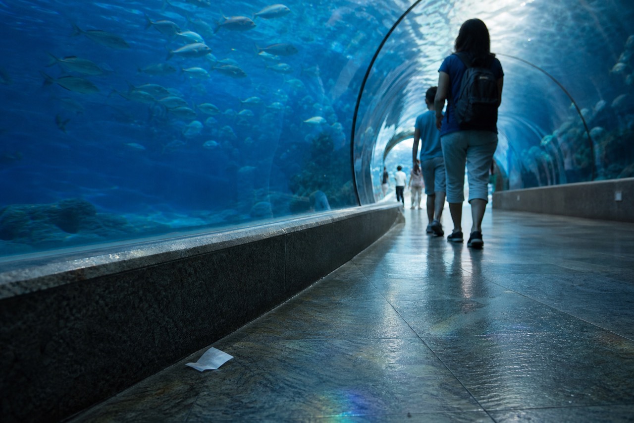 Glass tunnel walkway inside a large aquarium with fish swimming overhead, no text, no logos, no people