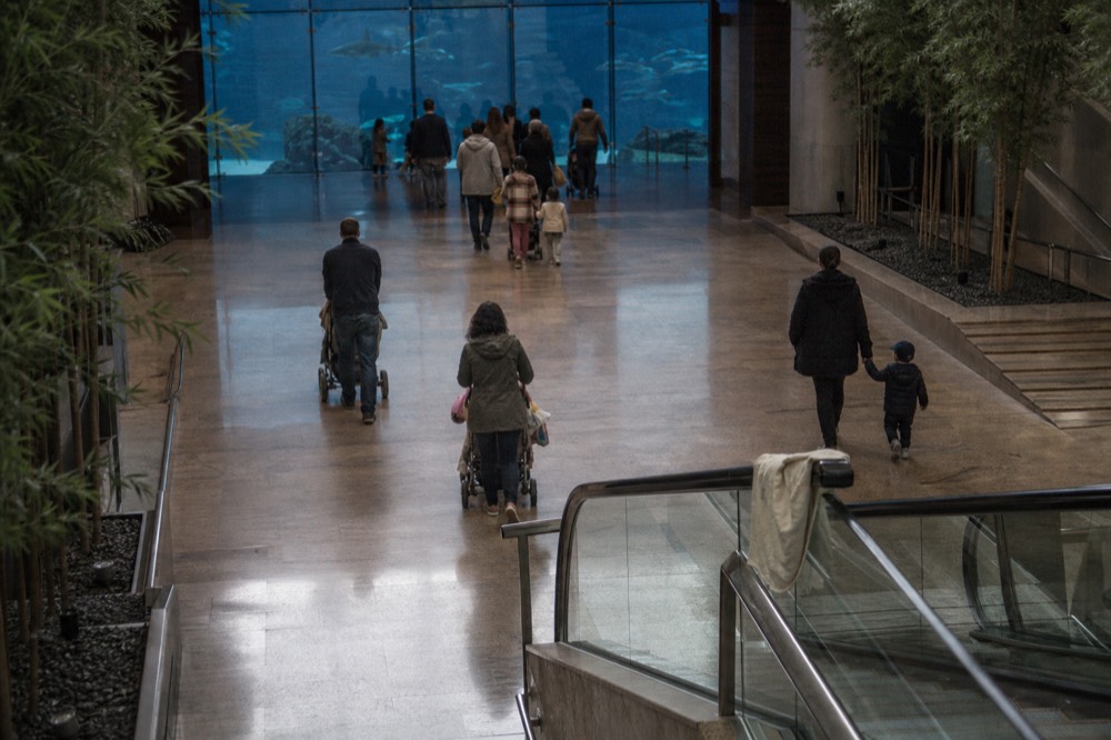 Families walking through a mall corridor toward a glass aquarium entrance, no text, no logos, no people