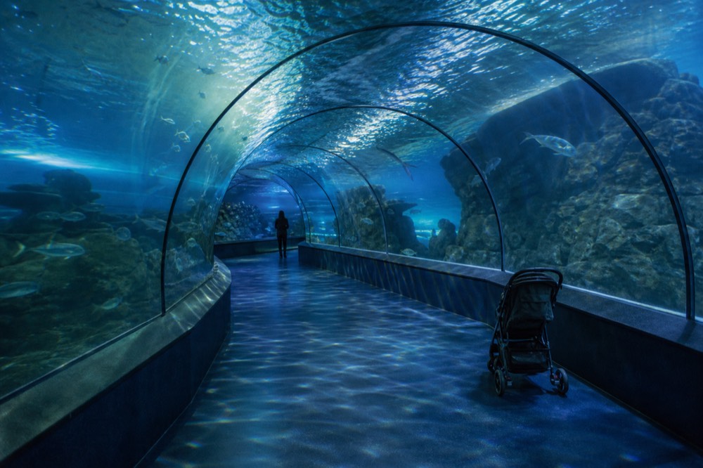 A visitor walkway curving through a dim aquarium tunnel with water on both sides and overhead, no text, no logos, no people