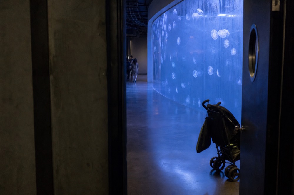 A dim aquarium corridor lit by a large blue tank, no text, no logos, no people.