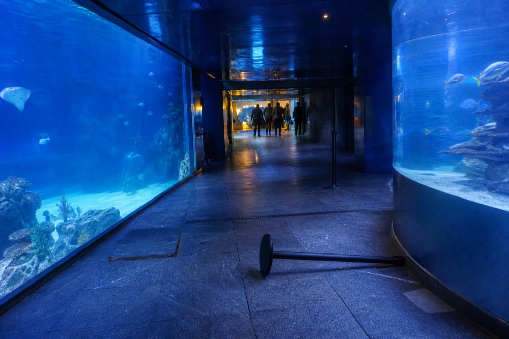 A wide aquarium corridor lit in blue with fish visible on both sides, no text, no logos, no people